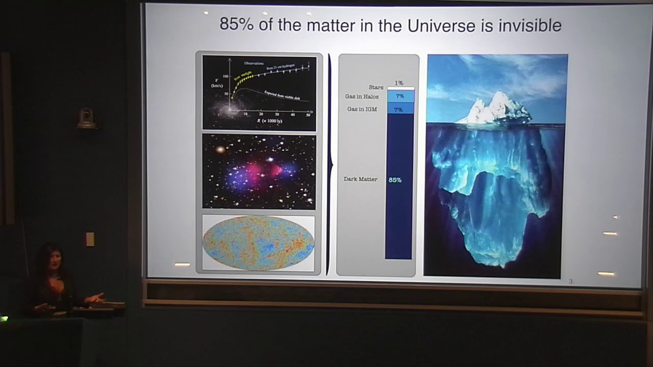 Simons Foundation - Hunting for Dark Matter with the XENON Project