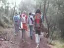 Sortida a les puces