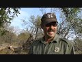 the wild ranger   discover the magic of africa  part 1 