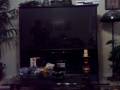 videos de DDR Pro