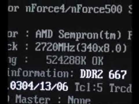 sempron