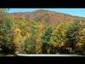 A Blue Ridge Autumn