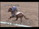 [調教] 081001 フォーレイカー 「札幌2歳ステークス」前追い切り