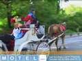 New York City's Central Park - 2 Minute Tour