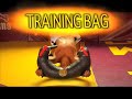 Explosive Strength and Conditioning Exercises