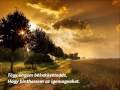 Tégy engem békeköveteddé