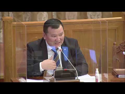 Г.Мөнхцэцэг: Гадаадын ТББ-тай хамтран ажиллахад монголыг төлөөлөх эрх бий юу гэж асуудаг