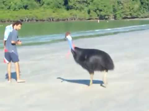 Imagen de previsualización de YouTube
