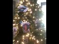 Mississippi Organ Recovery Agency Christmas Tree