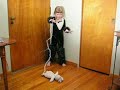 Brigitta Summons Bunny