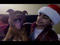HAPPY HOLIDAYS BOIII! www.arshasworld.com HAPPY HOLIDAYS BOIII! www.arshasworld.com