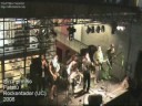 Sin Permiso, Rockontador, ska core