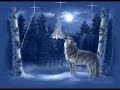 a song  dedicated to the wolves