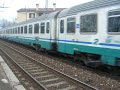 Una Tartaruga è titolare del Ic 