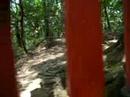 Fushimi-Inari walk
