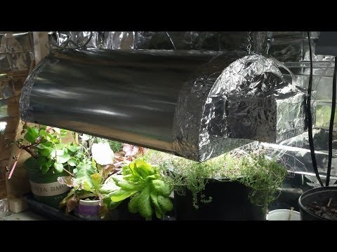 how to provide enough light for indoor plants