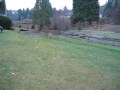 Field Work