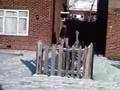 Life in Wigton Gardens