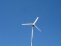 Jamaican made Wind Turbine 1000 Watts