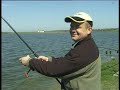 Carp fishing in Raduta lake 2 Carp fishing in Raduta lake 2