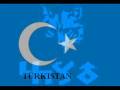 Uygur Türkleri        [ T Ü R K I STAN ]    Culture of the Uyghurs