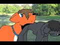warriors-of-the-forest-into-the-wild-part-3.html