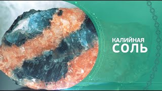 Сокровища земли Гомельской. Калийная соль