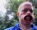fun with a blower