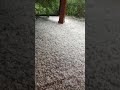 #Alberta #hailstorm today. July -Views : 0