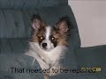 Butler-ADOPTED