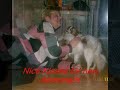Butler-ADOPTED