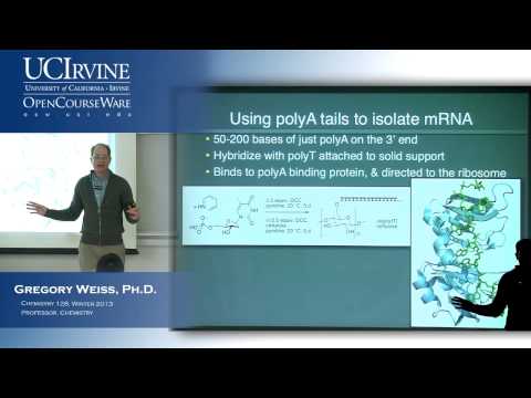 how to isolate mrna from rna