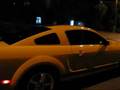 Mustang from Ukraine