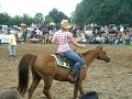 Galopp in Anhänger, Junkern Beel 08 Galopp in Anhänger, Junkern Beel 08