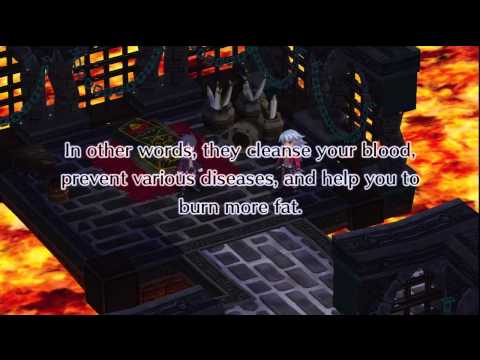 Disgaea 4 : A Promise Unforgotten