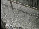some-my-meteorology-videos.html