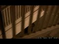 David Anders in ELI - David Anders - Flixster Video