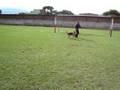 videos de Canino INPEC Seguridad