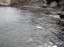fast electric boat