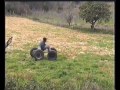 carro de rolamentos com rodas de carro carro de rolamentos com rodas de carro