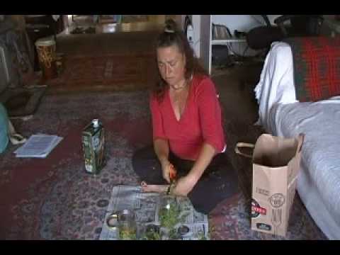 how to use st john's wort oil