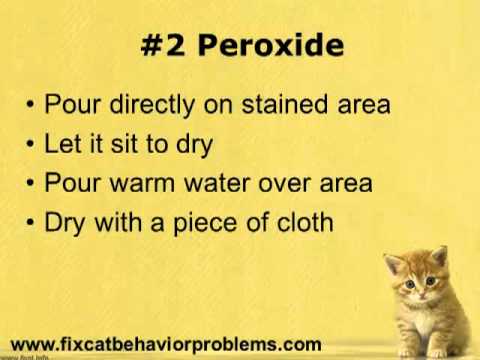 how to remove urine smell from clothing