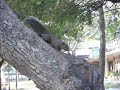 IMG_0014.AVI