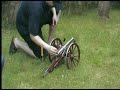 Ardesa black powder cannon Vorderlader-Kanone edited Ardesa black powder cannon Vorderlader-Kanone edited