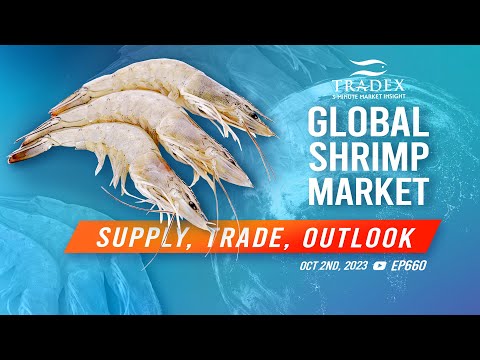 3MMI - Global Shrimp Market Report: Supply, Trade, and Outlook