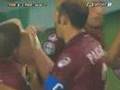 Gran gol di Stellone