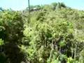 videos de Zip Line Adventure Tours