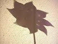 pinwheel shadows pinwheel shadows