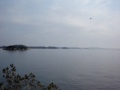 Matsushima 2