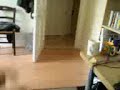 Phil gets crushed